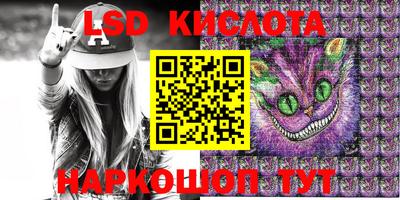 крисы Кулебаки