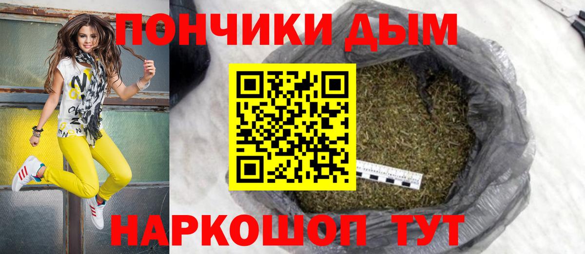 Конопля гибрид  Вход с VPN  Конопля конопля  Ирбит  Бошки марихуана семена 